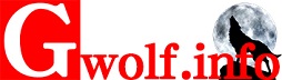 gwolfinfo-logo