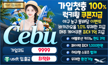 토토사이트 세부카지노